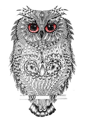 The Owl  Line Art