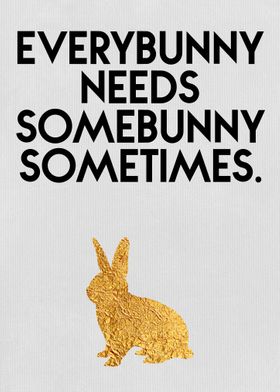 Every Bunny
