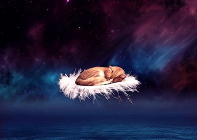 Cat sleeping in a feather