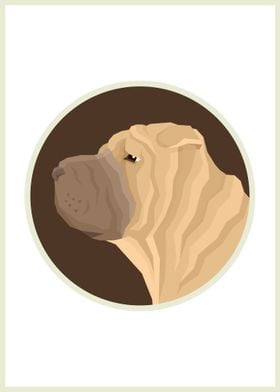 Shar Pei