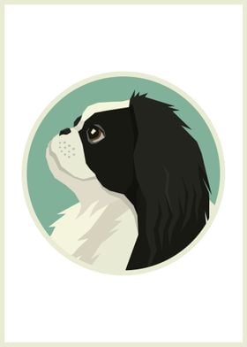 Japanese Chin