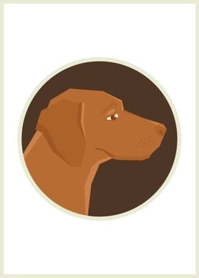 Vizsla