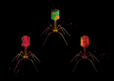 Bacteriophage