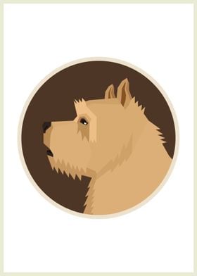 Norwich Terrier