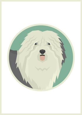 Old English Sheepdog