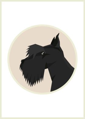 Scottish Terrier