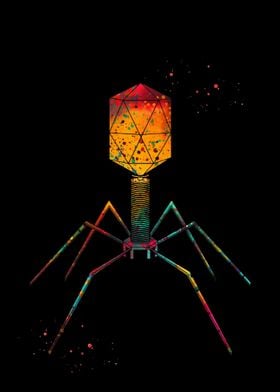 Bacteriophage