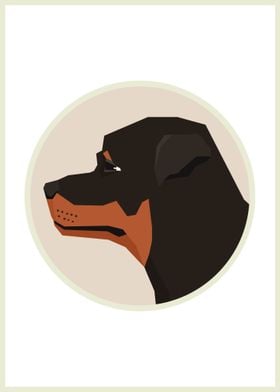 Rottweiler