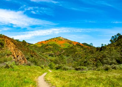 Grass Mountain