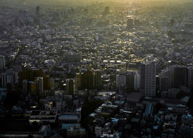 Tokyo City From Above