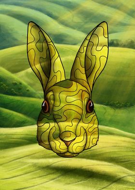 Hills Hare