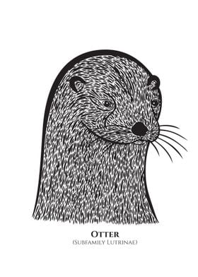 Otter with Latin name