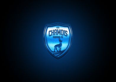 Chamois Niortais FC  Frenc