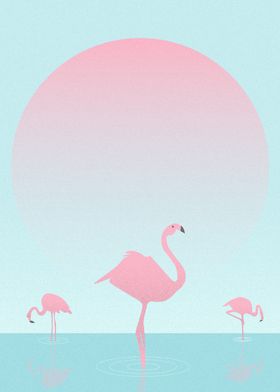 The Flamingos