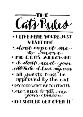 Cats rules