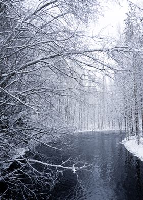 Haunting Black River