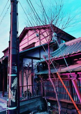 House in Nara