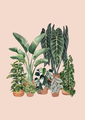 House Plants-preview-3