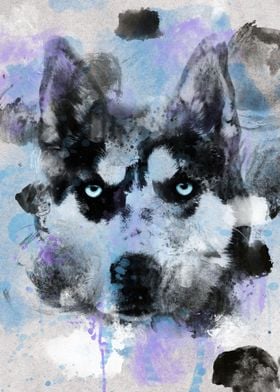 Watercolor Husky