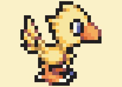 Chocobo