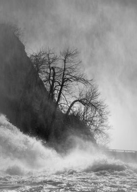 The Rhine Falls