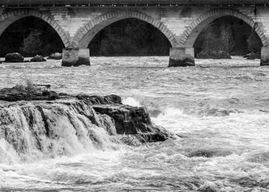 The Rhine Falls