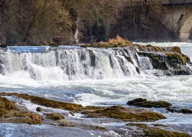 The Rhine Falls