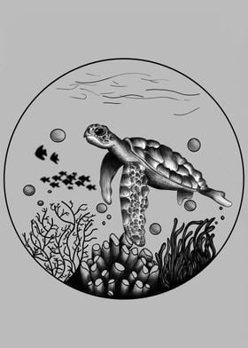 Turtle Bubble