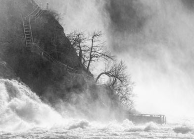 The Rhine Falls