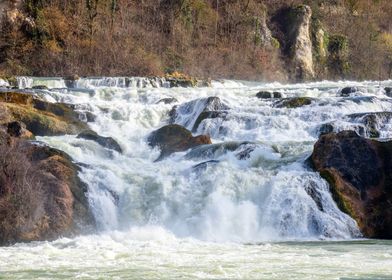 The Rhine Falls