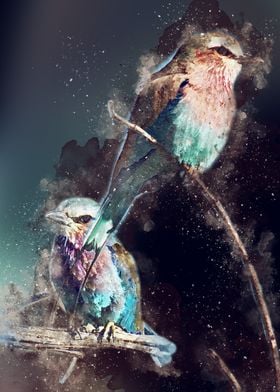 Bird Painting illustration