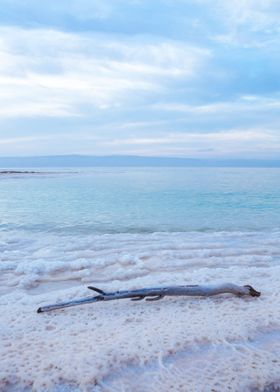 Dead Sea Jordan