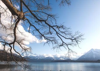 Lake Thun Switzerland