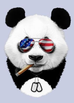 American panda