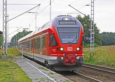 red green grass train