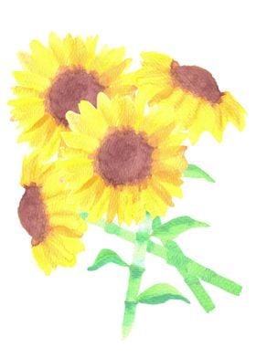 watercolor sunflower bunch