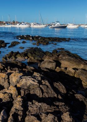 Marina Shelter