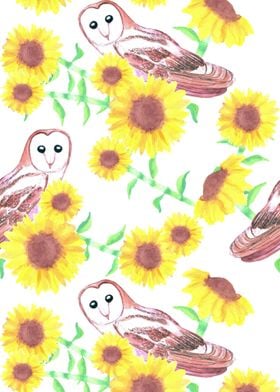 Barn owls and sunflowers