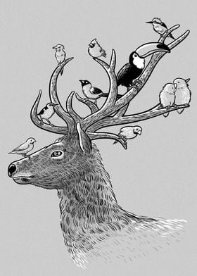 Hipster deer