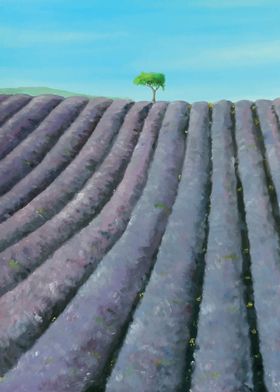 Field of lavender and tree