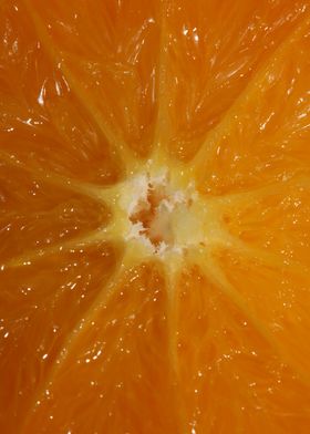 Orange fruit macro prints