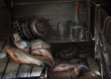 Food Fish Still Life