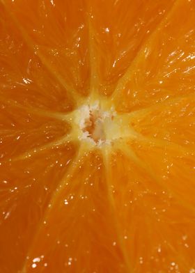 Orange fruit macro prints