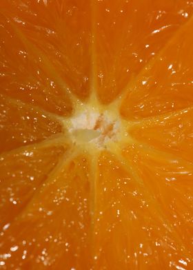 Orange fruit macro prints