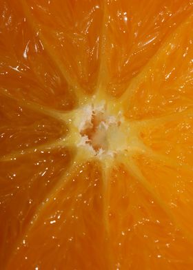 Orange fruit macro prints