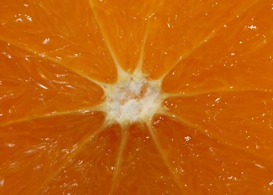 Orange fruit macro prints