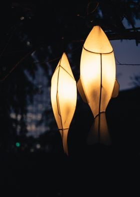 Fish Lantern