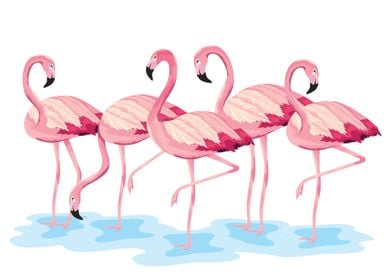 flamingo