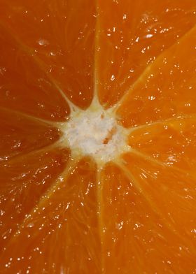 Orange fruit macro prints