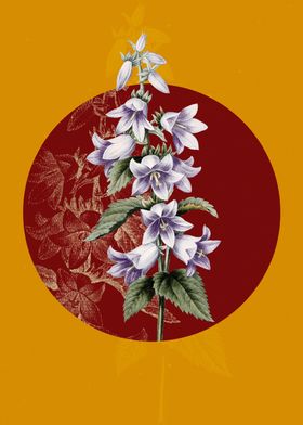 Vintage Botanical Circle-preview-2